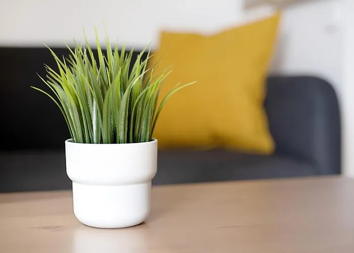 아파트 Estudio Erbania